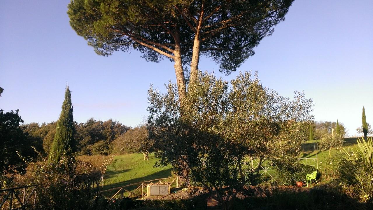 La Montagnola Retreat Gradoli Bagian luar foto